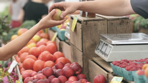 Badania UOKiK: Najgorzej mają sadownicy, 28 groszy za kilogram jabłek