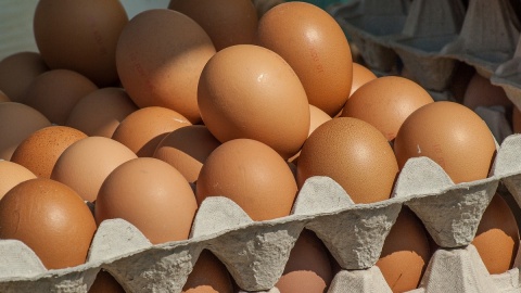 Klienci wierzą, że kupują jaja ze wsi, a dostają... jajka z niespodzianką