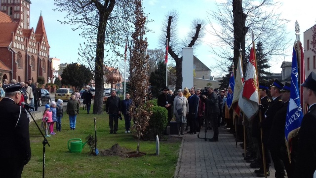 Dąb Pamięci ma nam przypominać o zbrodni katyńskiej