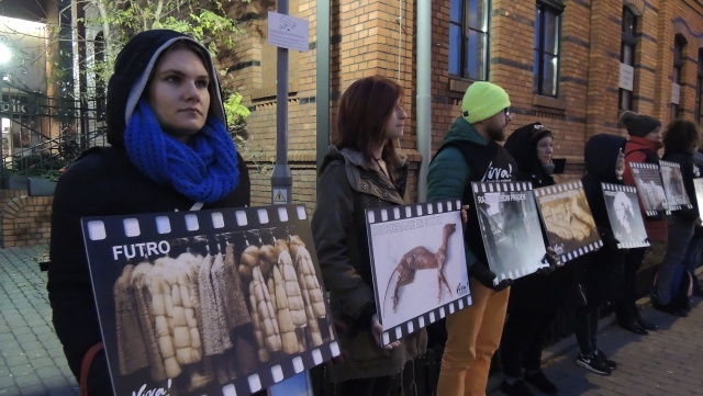 Żyją tylko po to by ktoś nosił futro Protest w obronie zwierząt futerkowych