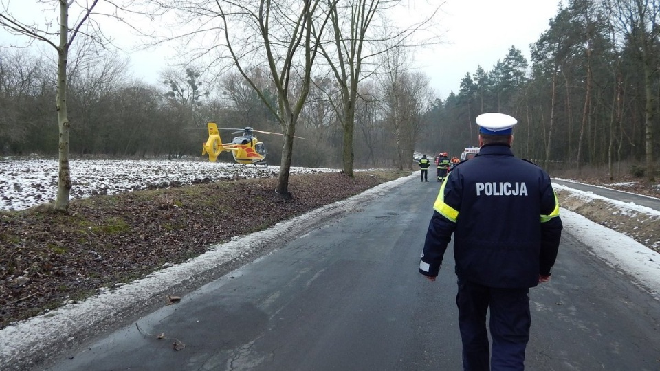 Do wypadku doszło w lesie w Radziejowie. Fot. Policja