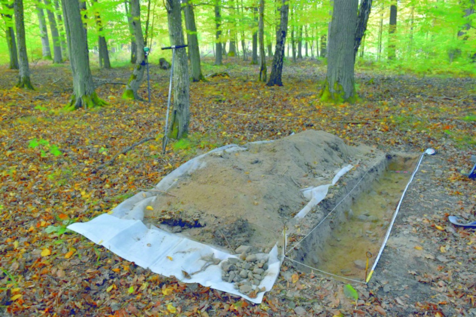 Wykop sondażowy założony na jednej z miedz, ukazujący jej kamienną konstrukcję (fot. M. Jankowski).