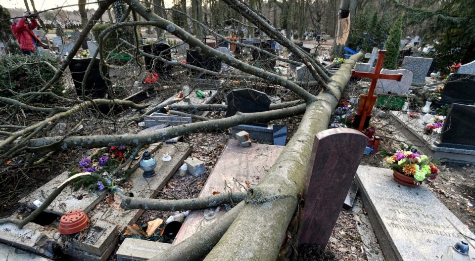 Powalone drzewa i zniszczone groby, 5 bm. na Cmentarzu Centralnym w Szczecinie/fot. Marcin Bielecki, PAP