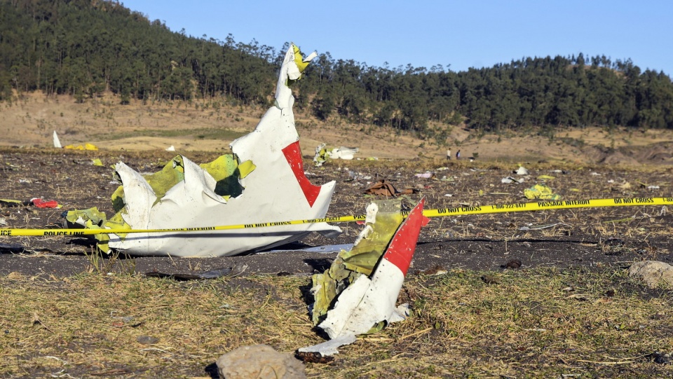 Fragmenty wraku samolotu w miejscu katastrofy/fot. PAP/EPA/STR