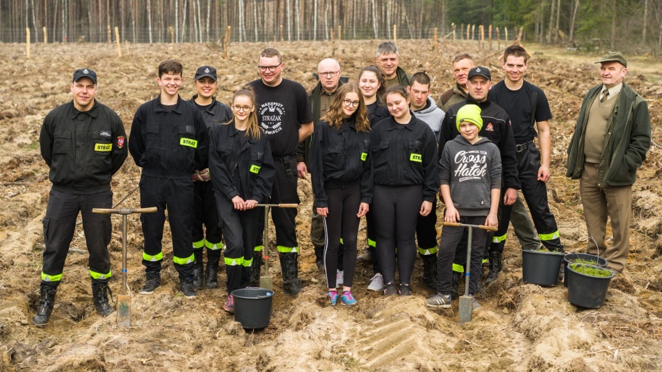 W Nadleśnictwie Szubin na zalesienie czekają 3 tysiące hektarów. Pomoc wolontariuszy jest więc niezbędna. Fot. Paweł Dobies