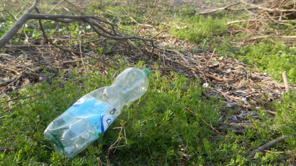 Sprzątanie Drwęcy odbywać się będzie dwutorowo - część osób będzie to robić na obu brzegach rzeki, a część z kajaków/fot. Iwona Muszytowska-Rzeszotek