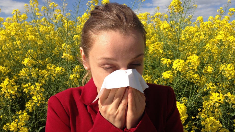 Immunoterapia alergenowa może nie tylko złagodzić uciążliwe objawy alergii, ale też – jeżeli jest odpowiednio wcześnie zastosowana - zahamować naturalny rozwój chorób alergicznych. Fot. Pixabay