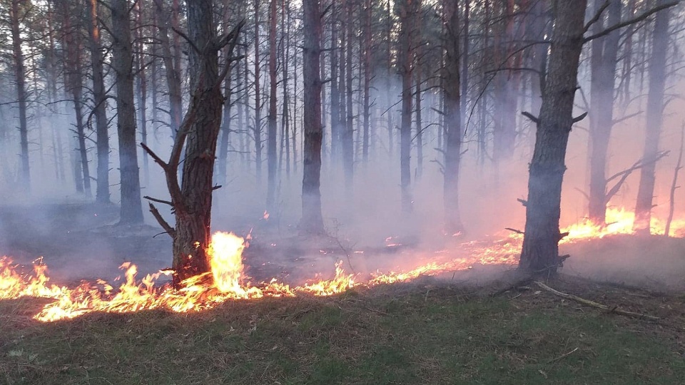 W środę palił się górny taras Doliny Śmierci. Fot. Damian Klich