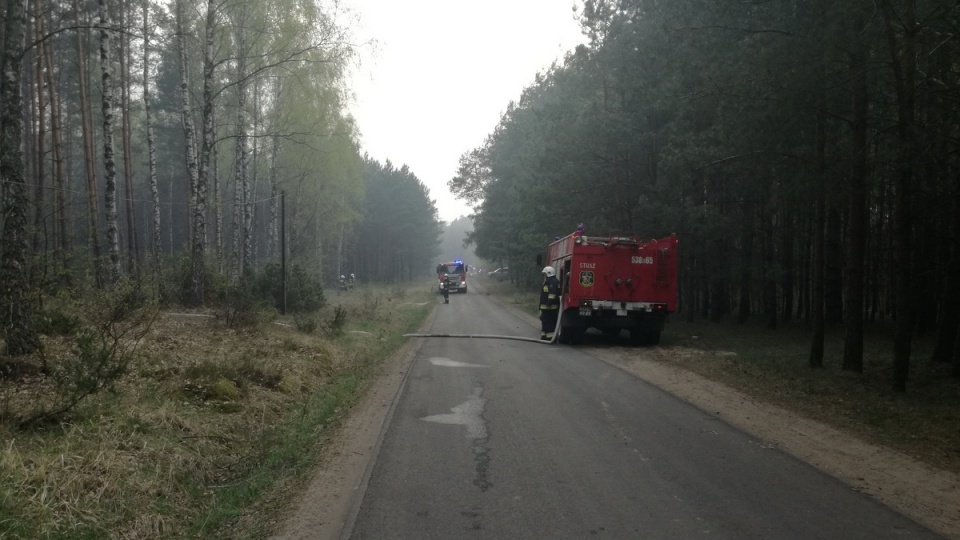 Pożar lasu w miejscowości Dubielno, w nadleśnictwie Dąbrowa/fot. Marcin Doliński