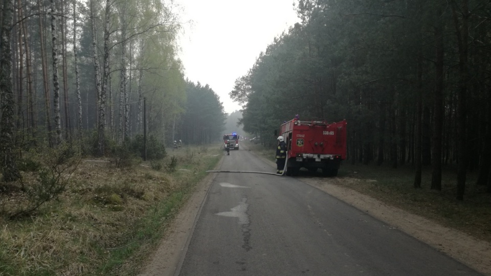 Pożar lasu w miejscowości Dubielno, w nadleśnictwie Dąbrowa/fot. Marcin Doliński