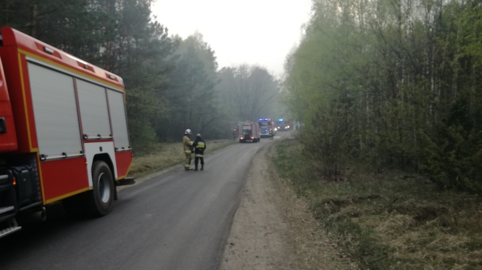 Pożar lasu w miejscowości Dubielno, w nadleśnictwie Dąbrowa/fot. Marcin Doliński