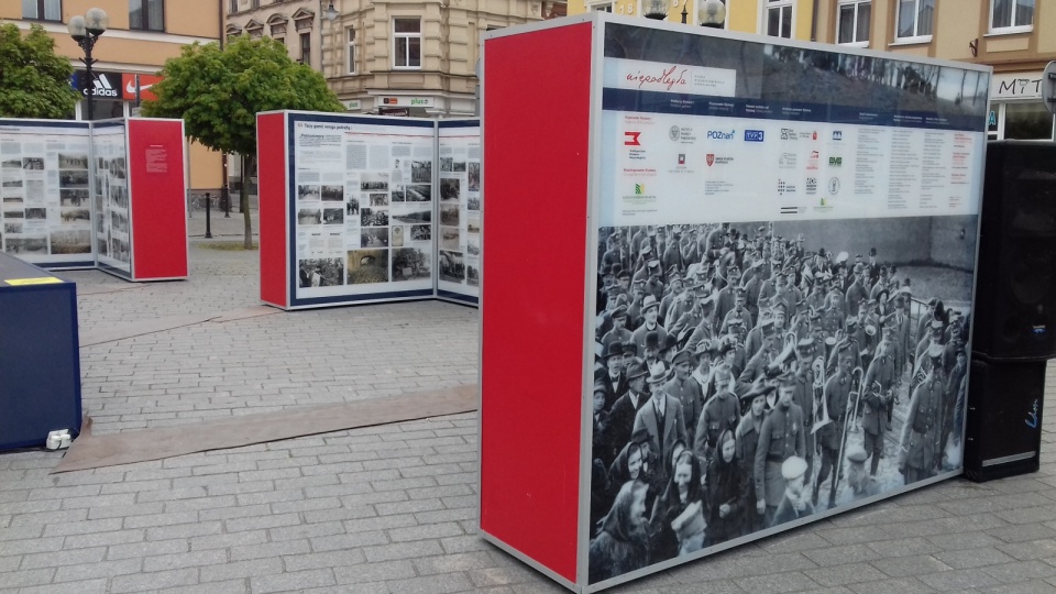 Wystawę powstałą dzięki Wielkopolskiemu Muzeum Niepodległości i kilkunastu instytucjom muzealnym i naukowym będzie można oglądać do 12 maja. Fot. Tomasz Gronet