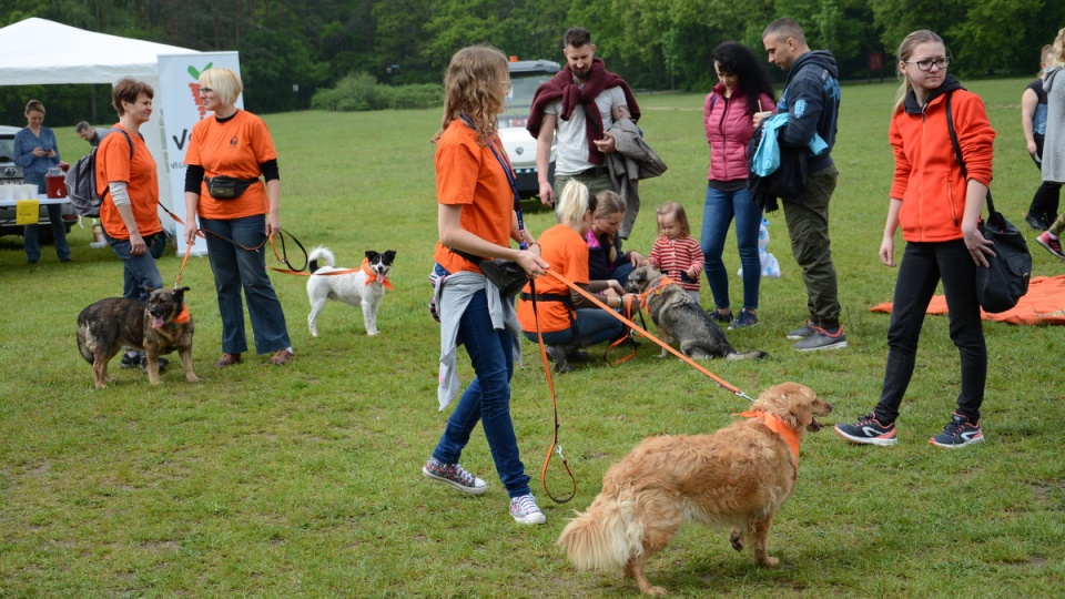 Piknik dobrych psów i ludzi - Myślęcinek/fot. Sławomir Jezierski