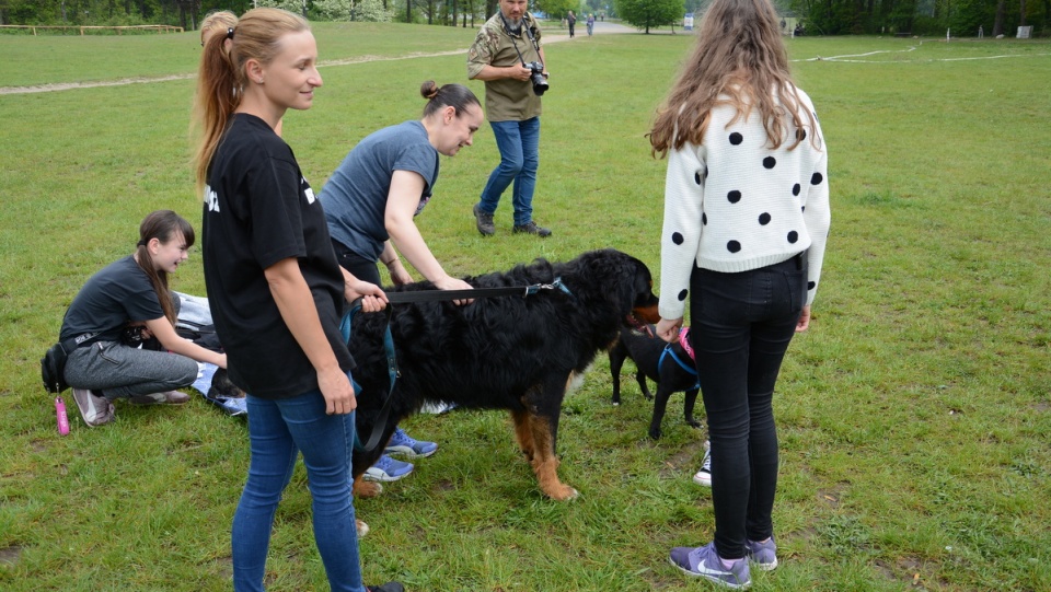 Piknik dobrych psów i ludzi - Myślęcinek/fot. Sławomir Jezierski