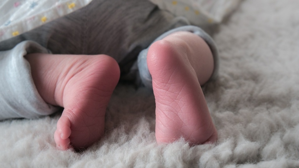 Według statystyk sześcioraczki rodzą się bardzo rzadko – raz na 4,7 miliarda ciąż na świecie/fot. Pixabay