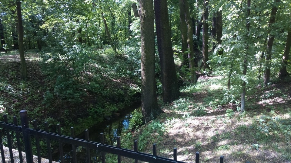 Tak wygląda obecnie Park Tysiąclecia/fot. Michał Zaręba