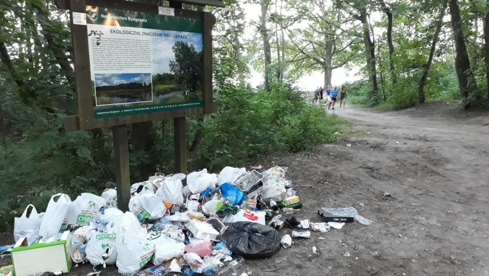 Szklane butelki i resztki po grillowaniu piętrzą się pod tablicą z napisem "Ekologiczne znaczenie krajobrazu". Fot. Kamila Zroślak