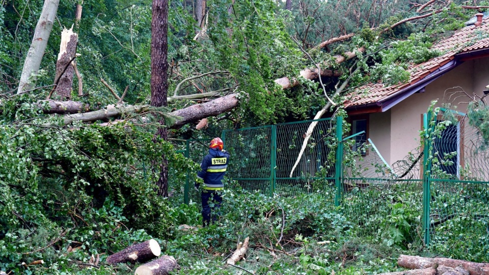 Większość prac wykonano już w nocy - udrożnione zostały m.in. dojazdy do ośrodków wypoczynkowych.. Fot. PAP/Marcin Bielecki