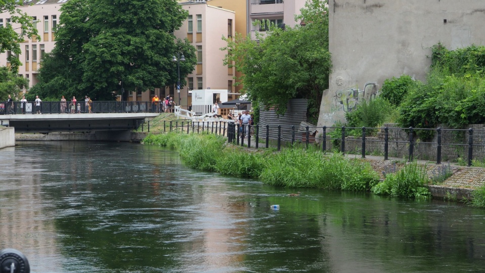 Ster na Bydgoszcz./fot. JW