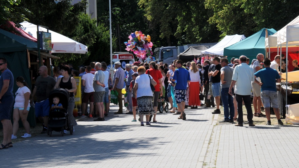 Międzynarodowe Targi Rolno-Przemysłowe Agro-Tech w Minikowie, jak zawsze budzą szerokie zainteresowanie. Fot. Ireneusz Sanger