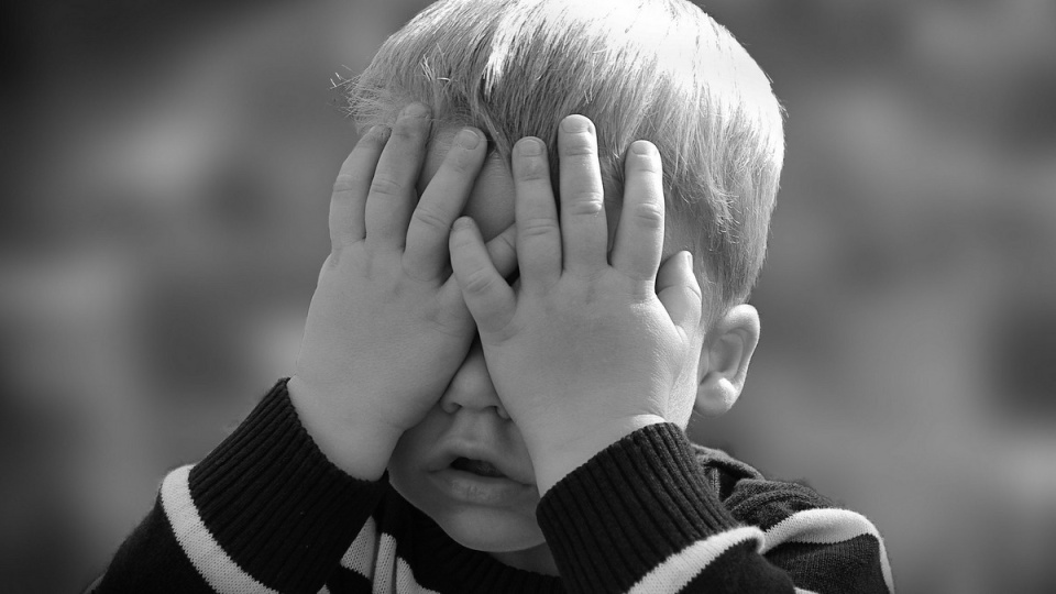 Policjanci ustalili, że sprawa ma wymiar konfliktu rodzicielskiego/fot. Pixabay