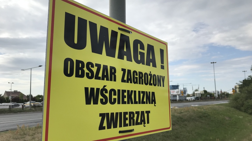 Sprawa związek ze znalezieniem martwego nietoperza, u którego stwierdzono wściekliznę. Fot. Tomasz Kaźmierski