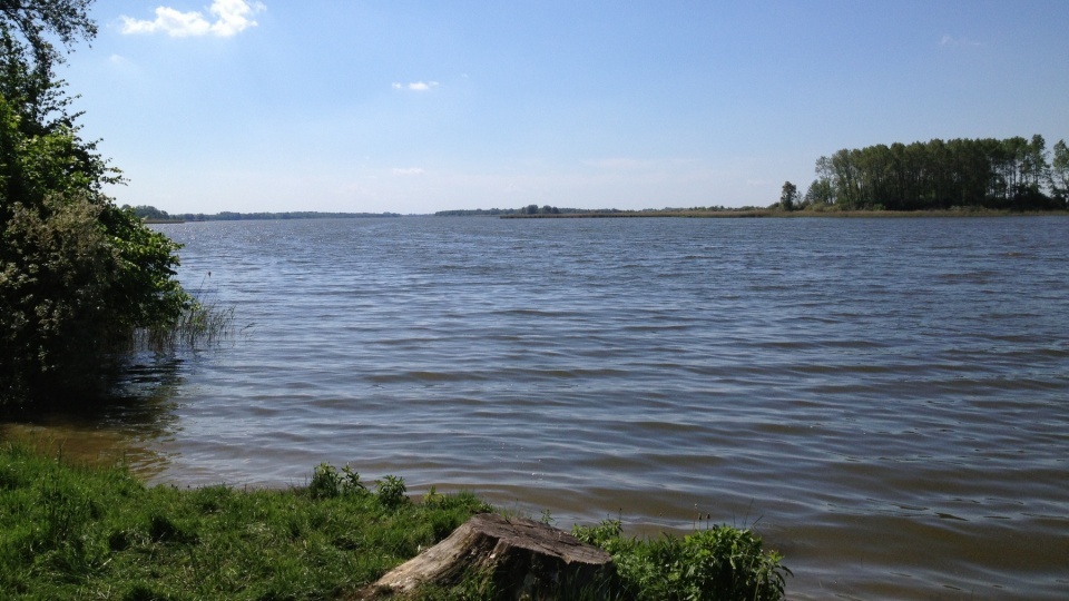 Wciąż zamknięta jest dzika plaża nad jeziorem rudnickim w Grudziądzu. Wszystko przez groźne bakterie: enterokoki. Fot. Archiwum