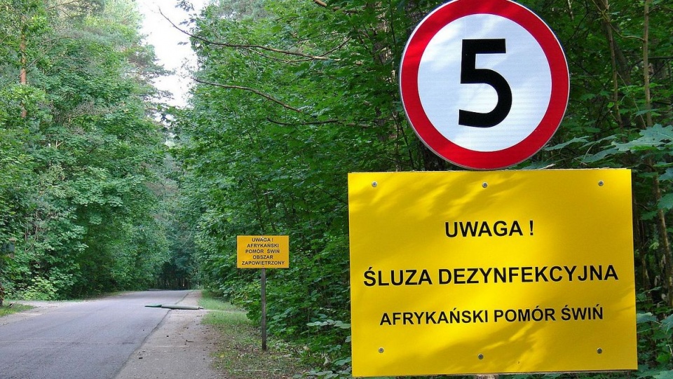 Tablice ostrzegające przed afrykańskim pomorem świń przy drodze Bielewicze-Wiejki w gminie Gródek (2014)./fot. Wikipedia