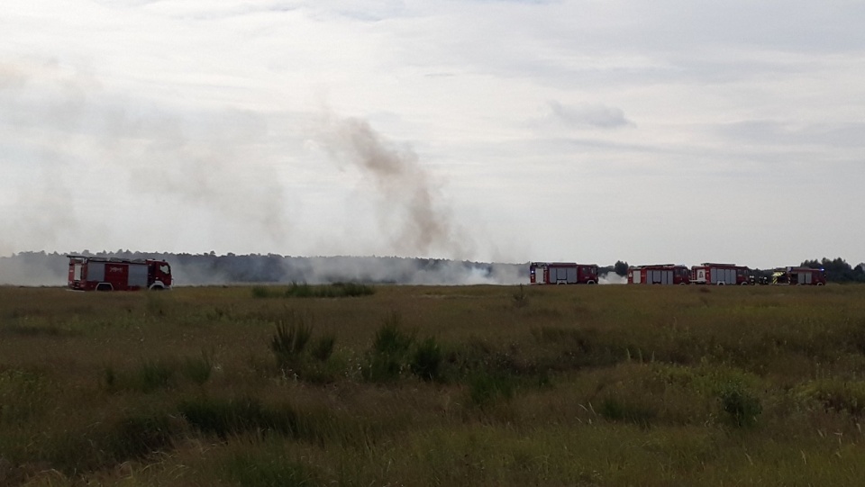 Służby ratunkowe i wojsko walczą z ogniem. Fot. Kamila Zroślak