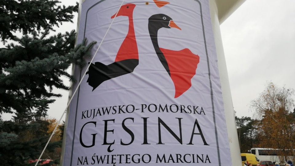 Festiwal Gęsiny w Przysieku./fot. Sławomir Nowak