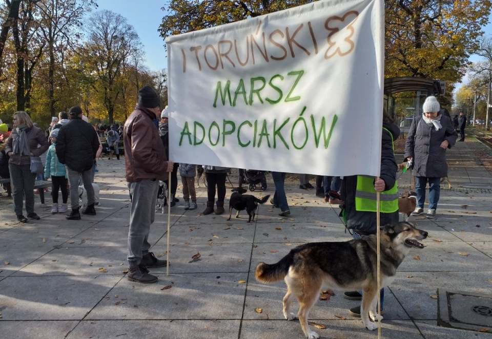 I Marsz Adopciaków w Toruniu/fot. Adriana Andrzejewska-Kuras