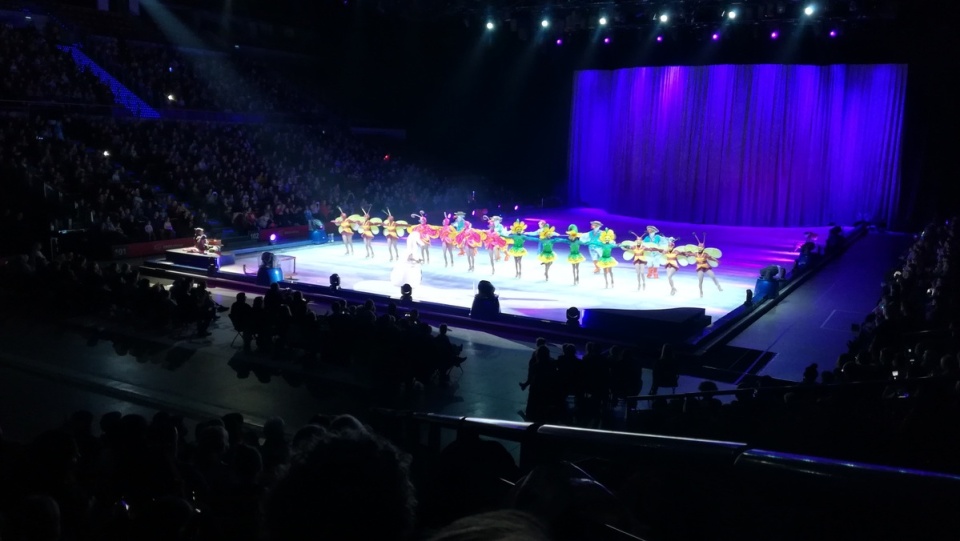 Rewia "Disney on ice: Moc jest w Tobie" w Ergo Arenie w Gdańsku-Sopocie/fot. mg