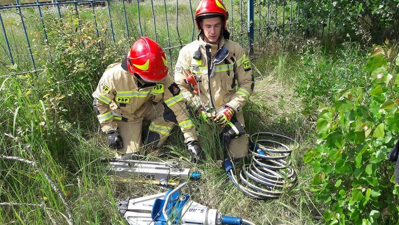 Akcja ratunkowa strażaków: sarna nie zmieściła się między prętami metalowego ogrodzenia./fot. Bydgoszcz 998
