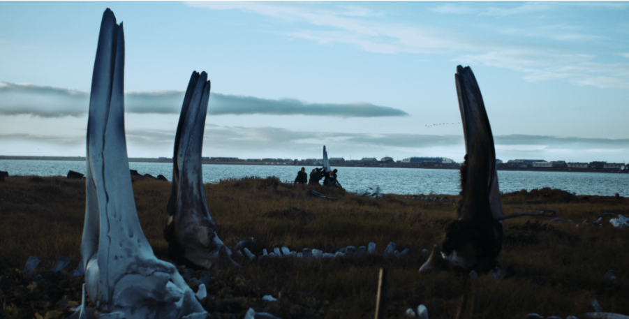 Kadr z filmu Macieja Cuske "Wieloryb z Lorino"./fot. camerimage.pl