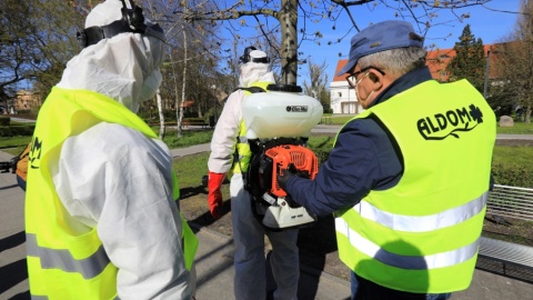 Dezynfekcja prowadzona jest metodą zamgławiania. Fot. Sławomir Kowalski/Torun.pl