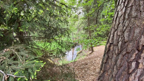 Wycieczka nad Kotomierzankę. Fot. Tomasz Kaźmierski