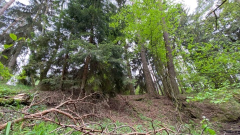 Wycieczka nad Kotomierzankę. Fot. Tomasz Kaźmierski