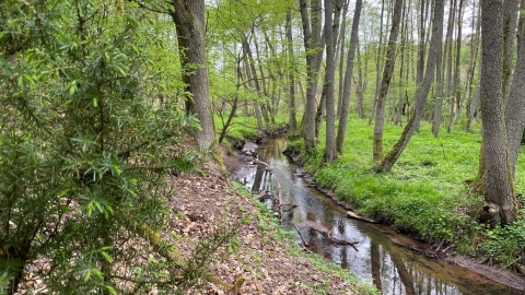 Wycieczka nad Kotomierzankę. Fot. Tomasz Kaźmierski