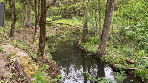 Wycieczka nad Kotomierzankę. Fot. Tomasz Kaźmierski