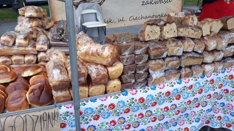 Wo wyboru, do koloru! Mnóstwo wszystkiego - na Jarmarku Jaszczurczym w Chełmnie! Fot. Sławomir Nowak