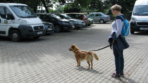 Drzwi Otwarte w bydgoskim Schronisku dla zwierząt. Oby zakończyły się pięknymi i długimi przyjaźniami./fot. Tatiana Adonis