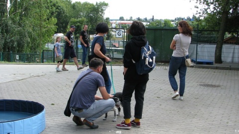 Drzwi Otwarte w bydgoskim Schronisku dla zwierząt. Oby zakończyły się pięknymi i długimi przyjaźniami./fot. Tatiana Adonis