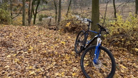 Rowerowe szaleństwo w Świeciu nad Wisłą nazywa się Czarna Woda Singletrack. Fot. Tomasz Kaźmierski