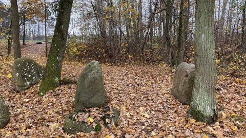 Rowerowe szaleństwo w Świeciu nad Wisłą nazywa się Czarna Woda Singletrack. Fot. Tomasz Kaźmierski