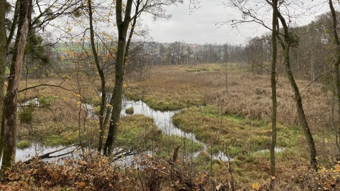 Rowerowe szaleństwo w Świeciu nad Wisłą nazywa się Czarna Woda Singletrack. Fot. Tomasz Kaźmierski