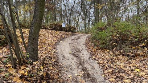 Rowerowe szaleństwo w Świeciu nad Wisłą nazywa się Czarna Woda Singletrack. Fot. Tomasz Kaźmierski