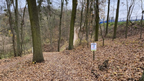 Rowerowe szaleństwo w Świeciu nad Wisłą nazywa się Czarna Woda Singletrack. Fot. Tomasz Kaźmierski