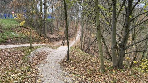 Rowerowe szaleństwo w Świeciu nad Wisłą nazywa się Czarna Woda Singletrack. Fot. Tomasz Kaźmierski