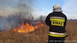 Pożar łąk i trzcinowisk opanowany, ale dopiero dogaszanie to wyzwanie [aktualizacja]