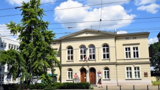 Takie drzewo jest w Bydgoszczy Tak W dodatku bierze udział w konkursie